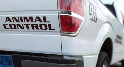 Animal Control vehicle